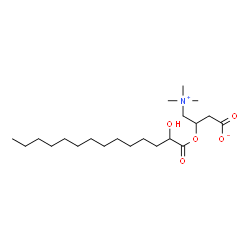 ChemSpider 2D Image | 3-[(2-Hydroxytetradecanoyl)oxy]-4-(trimethylammonio)butanoate | C21H41NO5