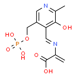 ChemSpider 2D Image | 2-[(E)-({3-Hydroxy-2-methyl-5-[(phosphonooxy)methyl]-4-pyridinyl}methylene)amino]acrylic acid | C11H13N2O7P