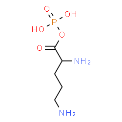 ChemSpider 2D Image | (2R)-2,5-Diaminopentanoyl dihydrogen phosphate | C5H13N2O5P