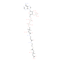 ChemSpider 2D Image | (3s,5s,9r,21s)-1-[(2r,3s,4r,5r)-5-(6-Amino-9h-Purin-9-Yl)-4-Hydroxy-3-(Phosphonooxy)tetrahydrofuran-2-Yl]-3,5,9,21-Tetrahydroxy-8,8,21-Trimethyl-10,14-Dioxo-19-Thioxo-2,4,6-Trioxa-18-Thia-11,15-Diaza-3,5-Diphosphatricosan-23-Oic Acid 3,5-Dioxide | C27H44N7O19P3S2