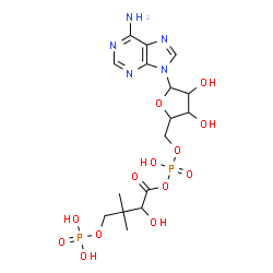 ChemSpider 2D Image | 5'-O-[(S)-Hydroxy{[(2R)-2-hydroxy-3,3-dimethyl-4-(phosphonooxy)butanoyl]oxy}phosphoryl]adenosine | C16H25N5O13P2