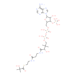 ChemSpider 2D Image | 2-hydroxyisobutanoyl-CoA | C25H42N7O18P3S