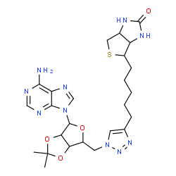 ChemSpider 2D Image | 5'-Deoxy-2',3'-O-isopropylidene-5'-(4-{5-[(3aS,4S,6aR)-2-oxohexahydro-1H-thieno[3,4-d]imidazol-4-yl]pentyl}-1H-1,2,3-triazol-1-yl)adenosine | C25H34N10O4S