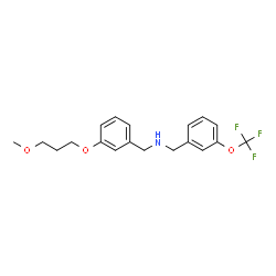 ChemSpider 2D Image | 1-[3-(3-Methoxypropoxy)phenyl]-N-[3-(trifluoromethoxy)benzyl]methanamine | C19H22F3NO3
