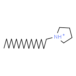 ChemSpider 2D Image | 1-Octadecylpyrrolidinium | C22H46N