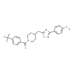 ChemSpider 2D Image | (4-{[3-(4-Methoxyphenyl)-1,2,4-oxadiazol-5-yl]methyl}-1-piperidinyl)[4-(2-methyl-2-propanyl)phenyl]methanone | C26H31N3O3
