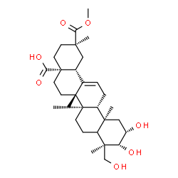 ChemSpider 2D Image | (2beta,3beta,5xi,18alpha)-2,3,23-Trihydroxy-29-methoxy-29-oxoolean-12-en-28-oic acid | C31H48O7