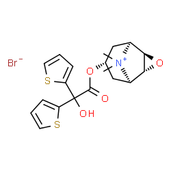 ChemSpider 2D Image | (1R,2R,4R,5S,7R)-7-[2-Hydroxy(di-2-thienyl)acetoxy]-9,9-dimethyl-3-oxa-9-azoniatricyclo[3.3.1.0~2,4~]nonane bromide | C19H22BrNO4S2