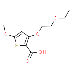 ChemSpider 2D Image | 3-(2-Ethoxyethoxy)-5-methoxy-2-thiophenecarboxylic acid | C10H14O5S