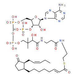 ChemSpider 2D Image | S-{1-[(2R,3S,4R,5R)-5-(6-Amino-9H-purin-9-yl)-4-hydroxy-3-(phosphonooxy)tetrahydro-2-furanyl]-3,5,9-trihydroxy-8,8-dimethyl-3,5-dioxido-10,14-dioxo-2,4,6-trioxa-11,15-diaza-3lambda~5~,5lambda~5~-dipho
sphaheptadecan-17-yl} (2E)-8-{(1S,2S)-3-oxo-2-[(2Z)-2-penten-1-yl]cyclopentyl}-2-octenethioate (non-preferred name) | C39H62N7O18P3S