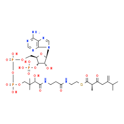 ChemSpider 2D Image | S-{1-[(2R,3S,4R,5R)-5-(6-Amino-9H-purin-9-yl)-4-hydroxy-3-(phosphonooxy)tetrahydro-2-furanyl]-3,5,9-trihydroxy-8,8-dimethyl-3,5-dioxido-10,14-dioxo-2,4,6-trioxa-11,15-diaza-3lambda~5~,5lambda~5~-dipho
sphaheptadecan-17-yl} 2,6-dimethyl-5-methylene-3-oxoheptanethioate (non-preferred name) | C31H50N7O18P3S