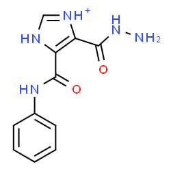 ChemSpider 2D Image | 4-(Hydrazinocarbonyl)-5-(phenylcarbamoyl)-1H-imidazol-3-ium | C11H12N5O2