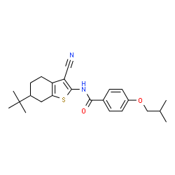 ChemSpider 2D Image | N-(6-tert-Butyl-3-cyano-4,5,6,7-tetrahydro-1-benzothiophen-2-yl)-4-isobutoxybenzamide | C24H30N2O2S