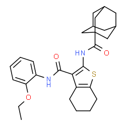 ChemSpider 2D Image | 2-[(Adamantan-1-ylcarbonyl)amino]-N-(2-ethoxyphenyl)-4,5,6,7-tetrahydro-1-benzothiophene-3-carboxamide | C28H34N2O3S