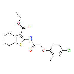 ChemSpider 2D Image | ethyl 2-[2-(4-chloro-2-methylphenoxy)acetamido]-4,5,6,7-tetrahydro-1-benzothiophene-3-carboxylate | C20H22ClNO4S