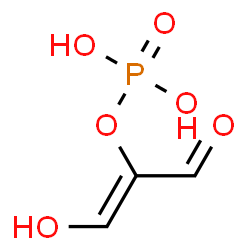 ChemSpider 2D Image | (1Z)-1-Hydroxy-3-oxo-1-propen-2-yl dihydrogen phosphate | C3H5O6P