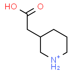 ChemSpider 2D Image | 3-(Carboxymethyl)piperidinium | C7H14NO2