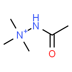 ChemSpider 2D Image | 2-Acetyl-1,1,1-trimethylhydrazinium | C5H13N2O
