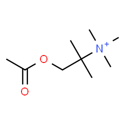 ChemSpider 2D Image | 1-Acetoxy-N,N,N,2-tetramethyl-2-propanaminium | C9H20NO2