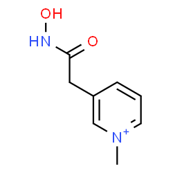 ChemSpider 2D Image | 3-[2-(Hydroxyamino)-2-oxoethyl]-1-methylpyridinium | C8H11N2O2
