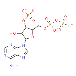 ChemSpider 2D Image | 9-{3-O-Phosphonato-5-O-[(sulfonatooxy)phosphinato]pentofuranosyl}-9H-purin-6-amine | C10H11N5O13P2S