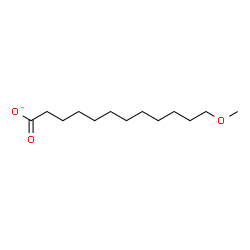 ChemSpider 2D Image | 12-Methoxydodecanoate | C13H25O3
