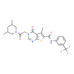 ChemSpider 2D Image | 3-[2-(3,5-Dimethyl-1-piperidinyl)-2-oxoethyl]-5-methyl-4-oxo-N-[3-(trifluoromethyl)phenyl]-3,4-dihydrothieno[2,3-d]pyrimidine-6-carboxamide | C24H25F3N4O3S