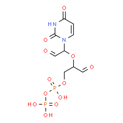 ChemSpider 2D Image | 2-[1-(2,4-Dioxo-3,4-dihydro-1(2H)-pyrimidinyl)-2-oxoethoxy]-3-oxopropyl trihydrogen diphosphate | C9H12N2O12P2