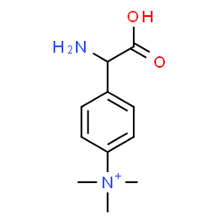 ChemSpider 2D Image | 4-[Amino(carboxy)methyl]-N,N,N-trimethylanilinium | C11H17N2O2
