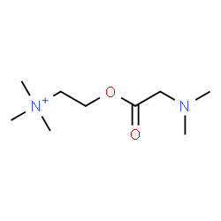 ChemSpider 2D Image | 2-[(N,N-Dimethylglycyl)oxy]-N,N,N-trimethylethanaminium | C9H21N2O2