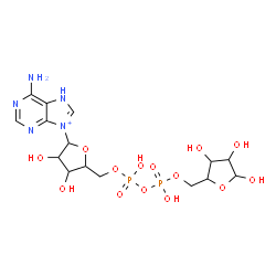 ChemSpider 2D Image | 6-Amino-9-[3,4-dihydroxy-5-({[hydroxy({hydroxy[(3,4,5-trihydroxytetrahydro-2-furanyl)methoxy]phosphoryl}oxy)phosphoryl]oxy}methyl)tetrahydro-2-furanyl]-7H-purin-9-ium | C15H24N5O14P2