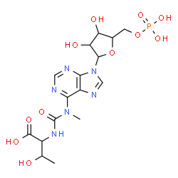 ChemSpider 2D Image | N-{Methyl[9-(5-O-phosphonopentofuranosyl)-9H-purin-6-yl]carbamoyl}threonine | C16H23N6O11P