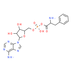 ChemSpider 2D Image | 9-(5-O-{[(2-Amino-3-phenylpropanoyl)oxy](hydroxy)phosphoryl}pentofuranosyl)-9H-purin-6-amine | C19H23N6O8P