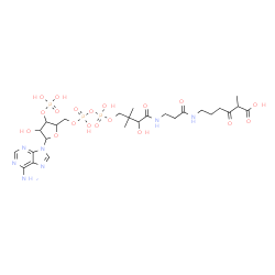 ChemSpider 2D Image | 1-[5-(6-Amino-9H-purin-9-yl)-4-hydroxy-3-(phosphonooxy)tetrahydro-2-furanyl]-3,5,9-trihydroxy-8,8,20-trimethyl-10,14,19-trioxo-2,4,6-trioxa-11,15-diaza-3,5-diphosphahenicosan-21-oic acid 3,5-dioxide (
non-preferred name) | C26H42N7O19P3