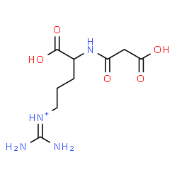 ChemSpider 2D Image | Diamino-N-{4-carboxy-4-[(carboxyacetyl)amino]butyl}methaniminium | C9H17N4O5