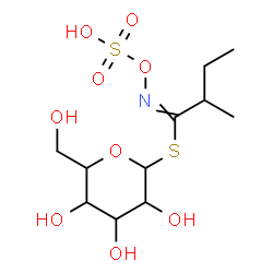 ChemSpider 2D Image | 1-S-[2-Methyl-N-(sulfooxy)butanimidoyl]-1-thiohexopyranose | C11H21NO9S2