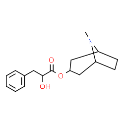 ChemSpider 2D Image | 8-Methyl-8-azabicyclo[3.2.1]oct-3-yl 2-hydroxy-3-phenylpropanoate | C17H23NO3