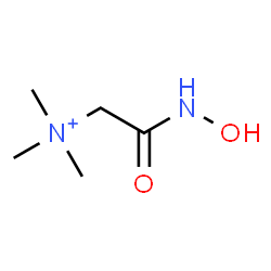 ChemSpider 2D Image | 2-(Hydroxyamino)-N,N,N-trimethyl-2-oxoethanaminium | C5H13N2O2