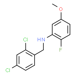 ChemSpider 2D Image | N-(2,4-Dichlorobenzyl)-2-fluoro-5-methoxyaniline | C14H12Cl2FNO