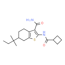 ChemSpider 2D Image | 2-[(Cyclobutylcarbonyl)amino]-6-(2-methyl-2-butanyl)-4,5,6,7-tetrahydro-1-benzothiophene-3-carboxamide | C19H28N2O2S