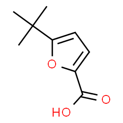 ChemSpider 2D Image | 5-tert-butylfuran-2-carboxylic acid | C9H12O3