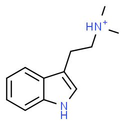ChemSpider 2D Image | 2-(1H-Indol-3-yl)-N,N-dimethylethanaminium | C12H17N2