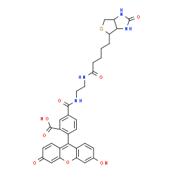 ChemSpider 2D Image | 2-(6-Hydroxy-3-oxo-3H-xanthen-9-yl)-5-[(2-{[5-(2-oxohexahydro-1H-thieno[3,4-d]imidazol-4-yl)pentanoyl]amino}ethyl)carbamoyl]benzoic acid | C33H32N4O8S