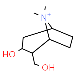 ChemSpider 2D Image | 3-Hydroxy-2-(hydroxymethyl)-8,8-dimethyl-8-azoniabicyclo[3.2.1]octane | C10H20NO2