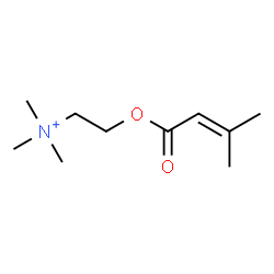 ChemSpider 2D Image | N,N,N-Trimethyl-2-[(3-methyl-2-butenoyl)oxy]ethanaminium | C10H20NO2