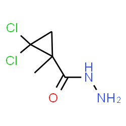 ChemSpider 2D Image | 2,2-Dichloro-1-methylcyclopropanecarbohydrazide | C5H8Cl2N2O