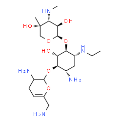 ChemSpider 2D Image | (2S-cis)-4-O-[3-Amino-6-(aminomethyl)-3,4-dihydro-2H-pyran-2-yl]-2-deoxy-6-O-[3-deoxy-4-C-methyl-3-(methylamino)-b-L-arabinopyranosyl]-N1-ethyl-D-streptamine | C21H41N5O7