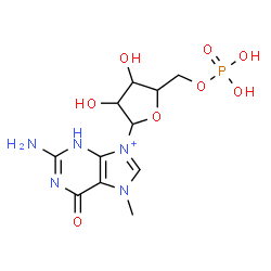 ChemSpider 2D Image | 2-Amino-7-methyl-6-oxo-9-(5-O-phosphonopentofuranosyl)-6,7-dihydro-3H-purin-9-ium | C11H17N5O8P