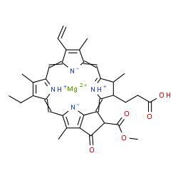 ChemSpider 2D Image | CSID:3823260 | C35H36MgN4O5