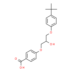 ChemSpider 2D Image | terbufibrol | C20H24O5